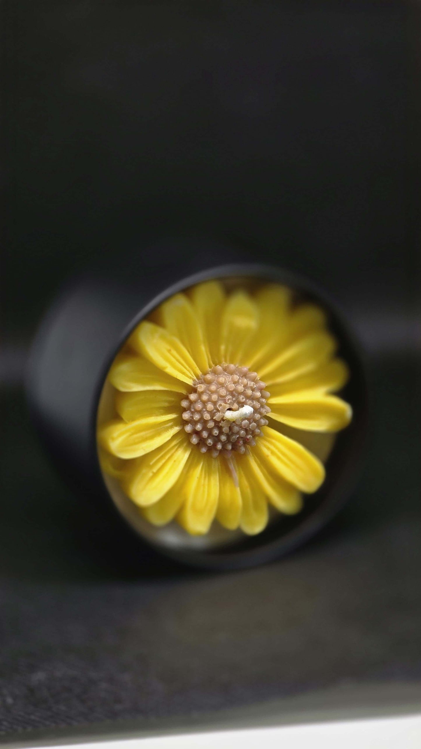 TinBloom