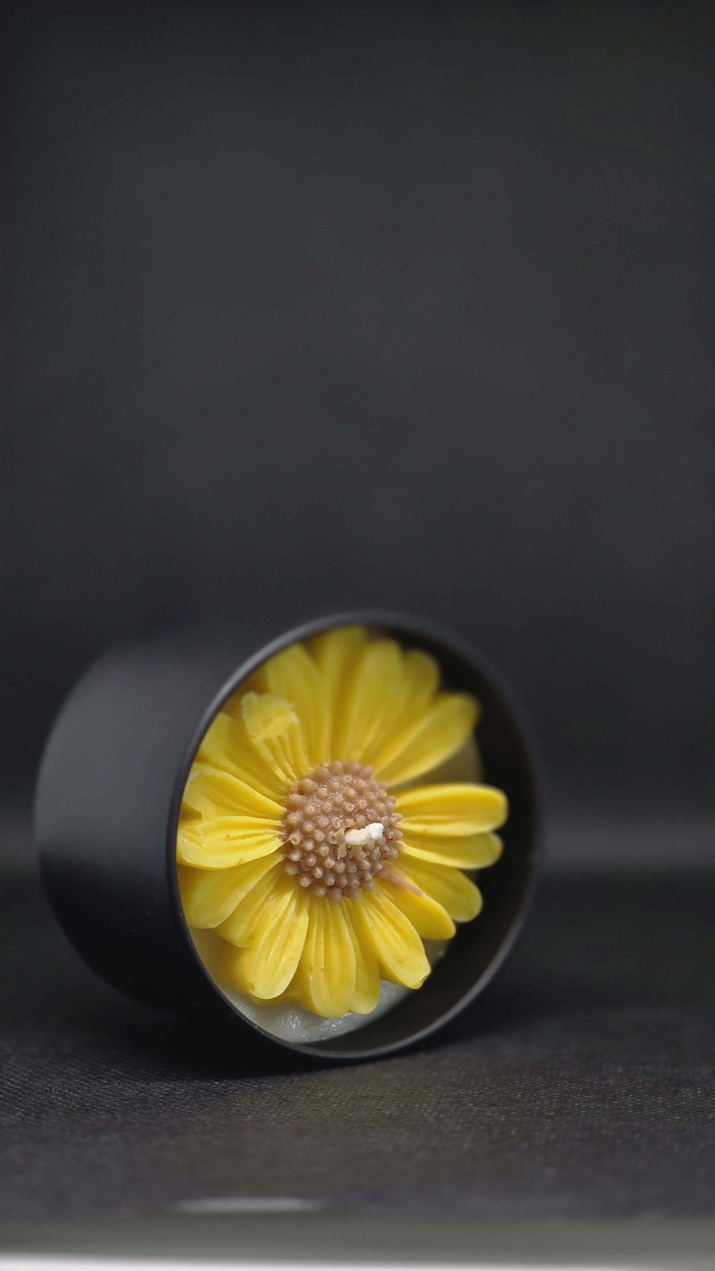 TinBloom